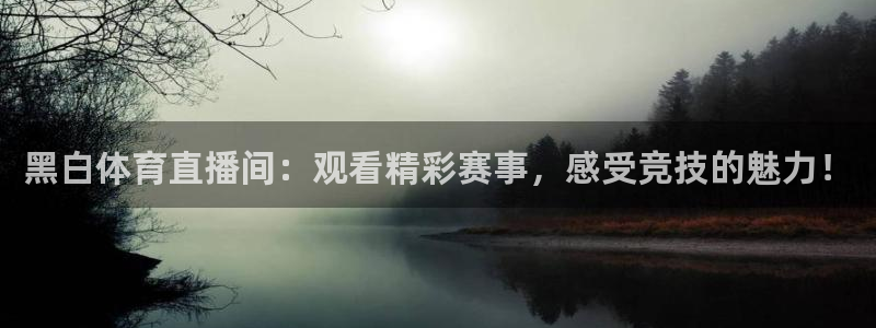 黑白体育直播间：观看精彩赛事，感受竞技的魅力！
