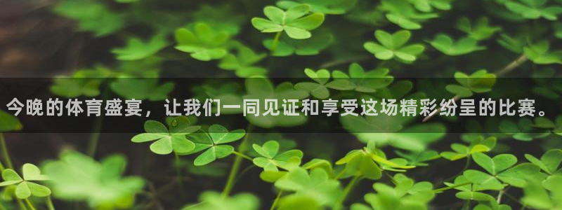 今晚的体育盛宴，让我们一同见证和享受这场精彩纷呈的比赛。