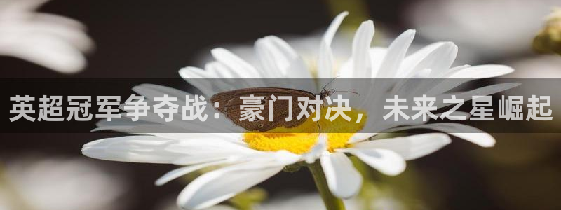 英超冠军争夺战：豪门对决，未来之星崛起