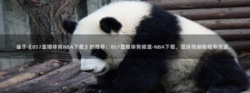 基于《857直播体育NBA下载》的推荐：857直播体育频道-NBA下载、篮球视频教程等资源。